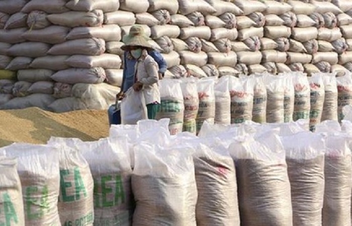 Doanh nghiệp xuất khẩu 220.000 tấn gạo nếp mỗi năm đứng bên bờ vực phá sản