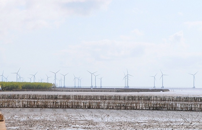 Hậu Giang sắp có dự án điện gió hơn 3.200 tỷ đồng