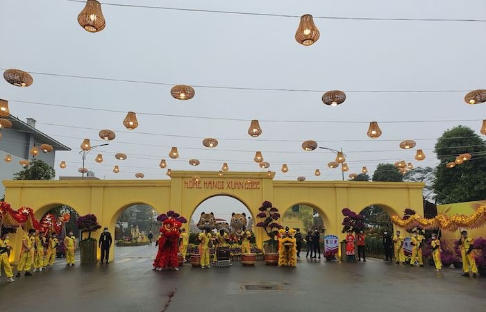 Ấn tượng đường hoa Xuân 'Hành trình vàng son Tết Việt'