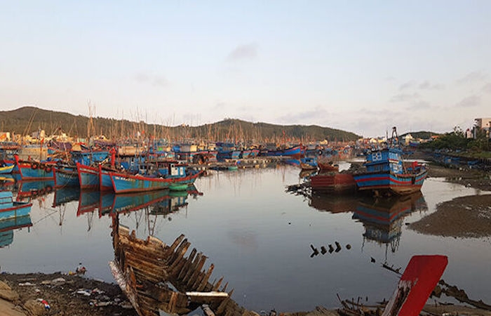 Quảng Ngãi chi 250 tỷ đồng làm đê chắn cát, giảm sóng tại cảng cá Sa Huỳnh