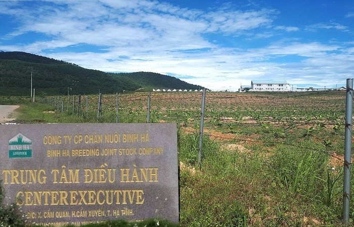 Hà Tĩnh: Dự án chăn nuôi bò Bình Hà 4.500 tỷ đồng sẽ được tái cơ cấu?