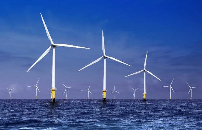 HBRE ‘bắt tay’ đại gia điện lực Pháp EDF tại dự án điện gió 1 tỷ USD ở Vũng Tàu