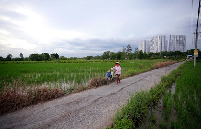 TP.Hồ Chí Minh: Công khai kế hoạch chuyển đổi 26.000ha đất nông nghiệp