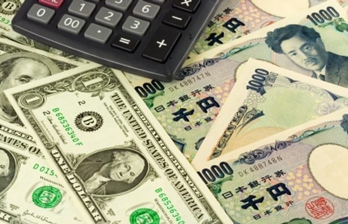 Một người Việt bị bắt tại Nhật vì chuyển trái phép 21 triệu USD