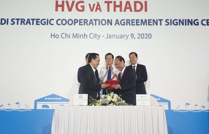 Thaco nắm 35% vốn HVG, chi 2.000 tỷ lập liên doanh nuôi lợn giống