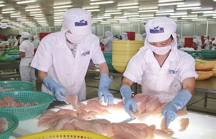 Trước khi bắt tay Thaco, HVG chi hơn 300 tỷ mua lại Thủy sản Hùng Vương – Miền Tây