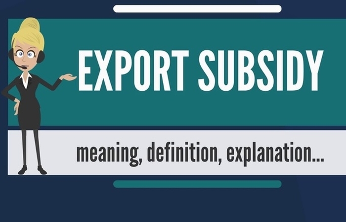 Trợ cấp xuất khẩu gì?