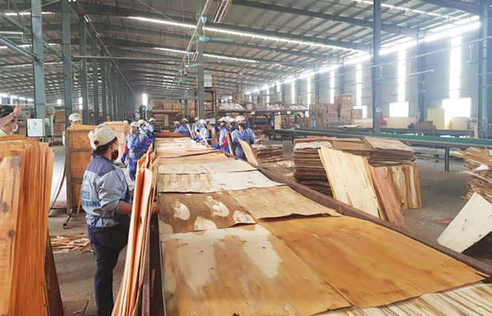 Mỹ gia hạn kết luận chống lẩn tránh thuế với gỗ dán và pin mặt trời Việt Nam