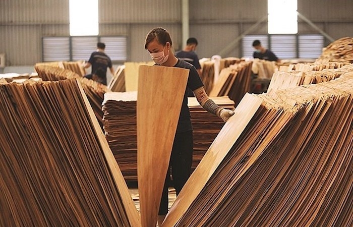 Gần 40 doanh nghiệp gỗ dán cứng có nguy cơ bị áp thuế cao tại Mỹ