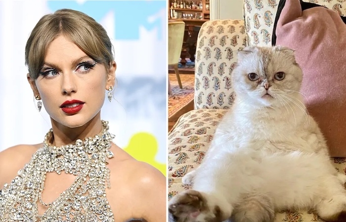 Sở hữu 97 triệu USD, mèo của Taylor Swift lọt top 3 thú cưng ‘giàu’ nhất hành tinh