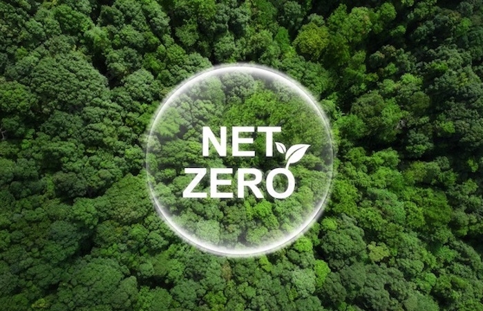 Doanh nghiệp Việt hiện thực hóa khát vọng Net Zero với lâm nghiệp bền vững