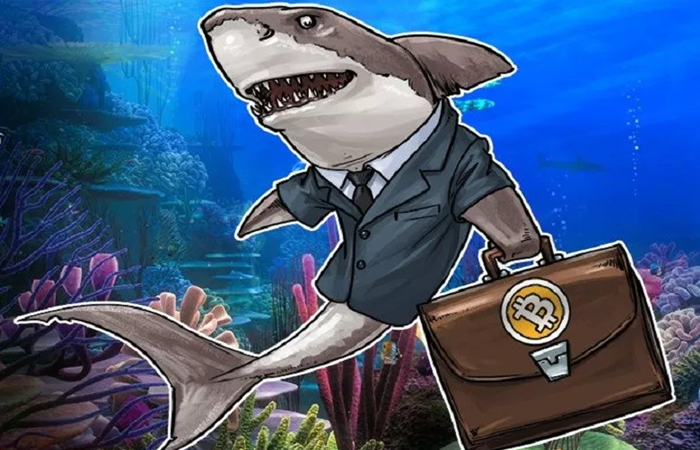 Giá tiền ảo hôm nay (28/8): 'Cá mập' sắp xả 200.000 Bitcoin để giải quyết nghĩa vụ thuế?