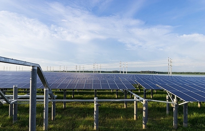 Nhà máy điện mặt trời lớn nhất Đông Nam Á mọc trên đất bán ngập