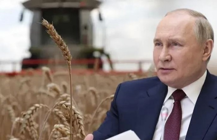 Rút khỏi thỏa thuận ngũ cốc, Nga tuyên bố có thể thay thế nguồn cung từ Ukraine
