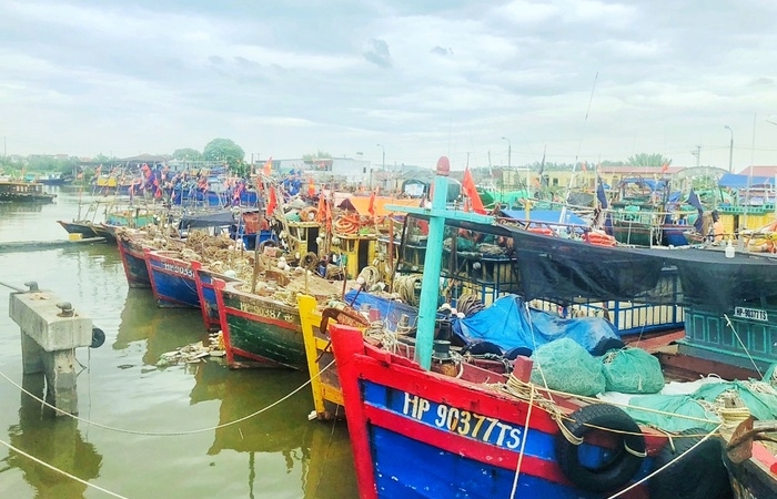 Hải Phòng: Điều tra, xử lý nghiêm tàu cá vi phạm quy định khai thác hải sản
