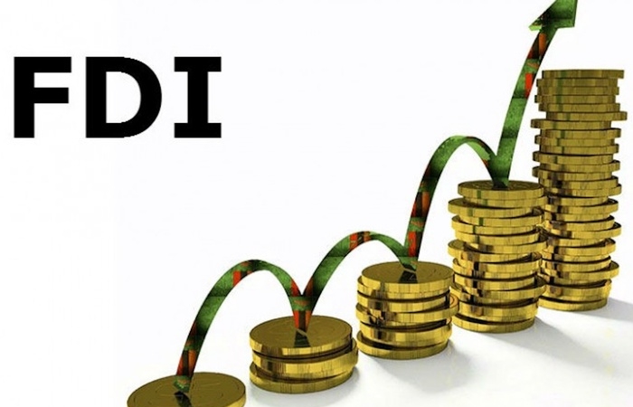 Doanh nghiệp FDI nhiều ưu đãi vẫn lỗ, doanh nghiệp nội nộp ngân sách lớn nhất