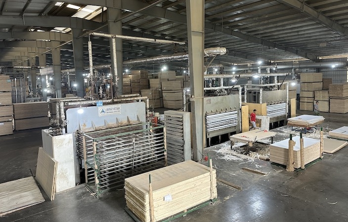 Hàn Quốc điều tra chống bán phá giá: DN gỗ Việt lo phá sản nếu áp bị thuế cao