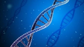 Nghiên cứu xác nhận hút thuốc lá gây đột biến DNA dẫn đến ung thư