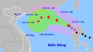 Bão Toraji giật cấp 12 vào Biển Đông, trở thành bão số 8