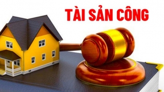 Bán tài sản công theo hình thức đấu giá như thế nào?