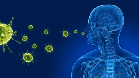 Virus gây viêm phổi trên người tại Trung Quốc: Bộ Y tế nói gì?