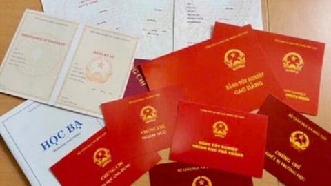 Bắc Giang: 15 giáo viên bị phát hiện dùng bằng, chứng chỉ giả