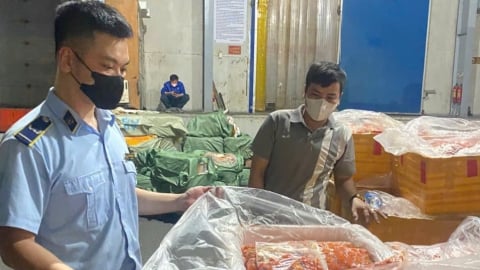 Phát hiện kho đông lạnh chứa hơn 7 tấn nội tạng không rõ nguồn gốc