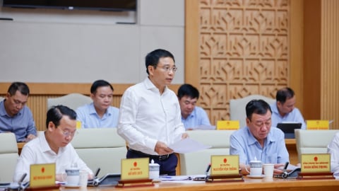 Nền kinh tế tiếp tục đà tăng trưởng