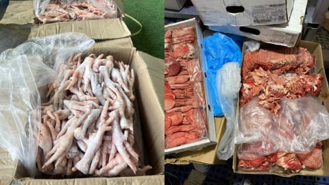 Lâm Đồng: Thu giữ gần 2,6 tấn chân gà đông lạnh không rõ nguồn gốc