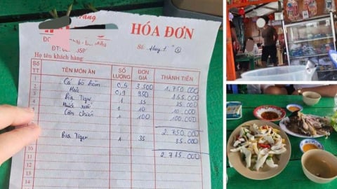 Khánh Hòa: Phạt 20 triệu đồng chủ bè nổi bán cá bò hòm giá ‘trên trời’