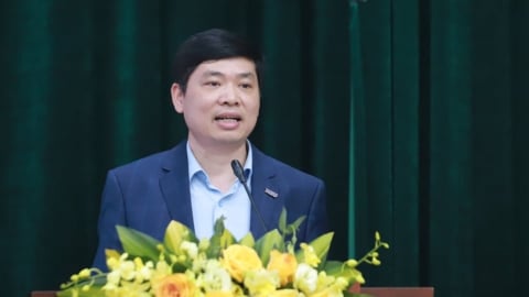 Chuyên gia đề xuất nhiều giải pháp chiến lược trước áp lực thuế quan Mỹ