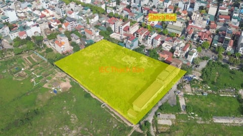Chậm tiến độ, dự án nhà ở xã hội ở Hà Nội hóa đất trồng rau