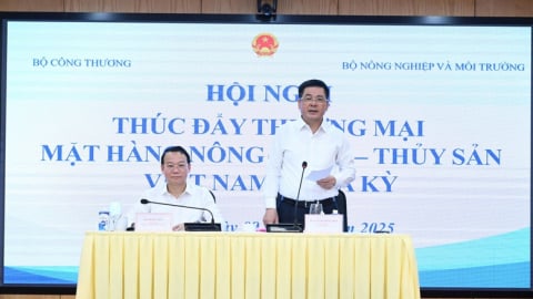Mở rộng nhập khẩu nông sản Hoa Kỳ, thúc đẩy cân bằng thương mại hai chiều