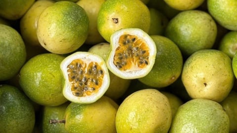 Chanh dây vàng ngọt hương ổi đầu mùa cháy hàng, giá gần 150.000 đồng/kg