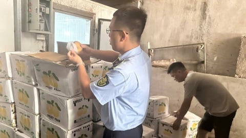 Thái Nguyên: Tiêu hủy gần 1,2 tấn hoa quả không rõ nguồn gốc