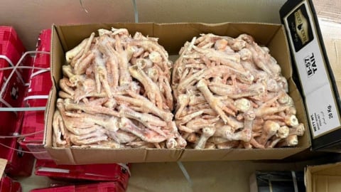 Thái Bình: Tiêu hủy hơn 300kg thực phẩm đông lạnh không rõ nguồn gốc