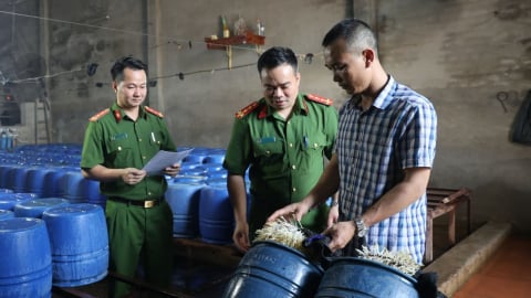 Bắc Giang: Khởi tố chủ cơ sở sản xuất 60 tấn giá đỗ ngâm chất cấm