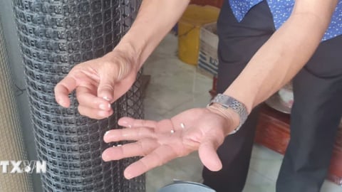 Hậu Giang: Phát hiện một loại gạo bất thường nghi là gạo giả