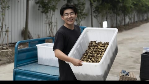 Giới trẻ Trung Quốc chọn nghỉ hưu sớm ở 'nhà dưỡng lão tuổi 20'