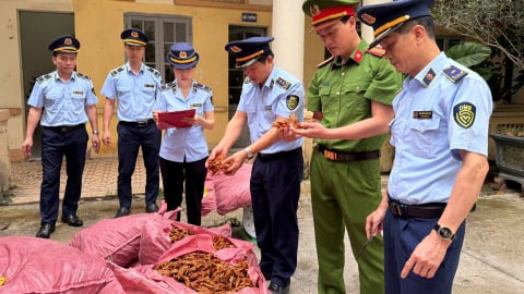 Liên tiếp phát hiện thực phẩm bẩn, hàng giả, hàng lậu tại nhiều tỉnh thành