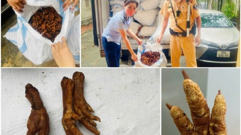 Hà Nội: Thu giữ hơn 1,4 tấn chân gà chiên mốc trên đường vào nội thành tiêu thụ