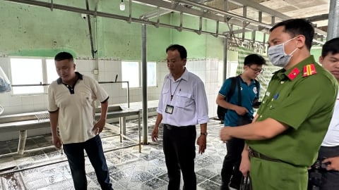 Cơ sở giết mổ ở Hậu Giang bị kiểm tra sau tố cáo thịt kém chất lượng