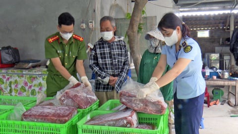 Hà Nam tiêu hủy hơn 1,2 tấn gan gà, lòng lợn không rõ nguồn gốc