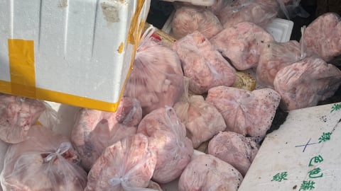 Đắk Lắk: Tiêu hủy 400kg thịt heo ‘bẩn’