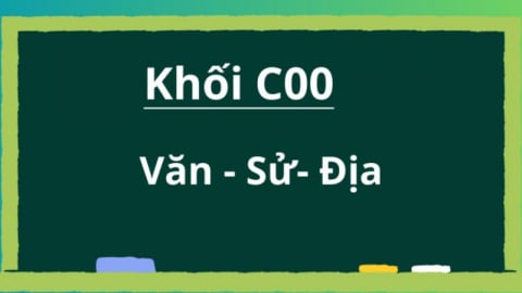 Loạt trường đại học ngành xã hội bất ngờ không tuyển sinh khối C