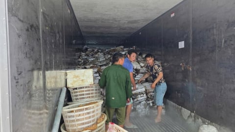 Quảng Ninh tiêu hủy hơn 25 tấn thực phẩm đông lạnh bốc mùi, không rõ nguồn gốc