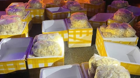 Hà Tĩnh: Thu giữ 240kg chả mực không rõ nguồn gốc trên xe khách