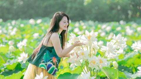 Nắng cháy da vẫn không ngăn nổi những 'nàng thơ' đổ về đầm sen ngoại thành Hà Nội
