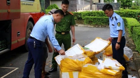 Sơn La: Chặn xe khách chở gần 500kg sản phẩm động vật bốc mùi