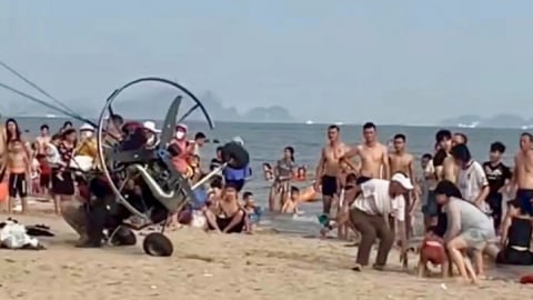 Phạt công ty tổ chức dù lượn va vào du khách ở Bãi Cháy